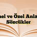 Genel ve Özel Anlamlı Sözcükler