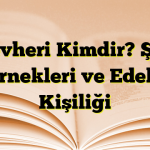 Gevheri Kimdir? Şiir Örnekleri ve Edebi Kişiliği