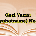 Gezi Yazısı (Seyahatname) Nedir?