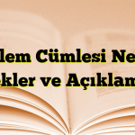 Gözlem Cümlesi Nedir? Örnekler ve Açıklamalar