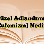 Güzel Adlandırma (Eufemizm) Nedir?