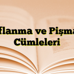 Hayıflanma ve Pişmanlık Cümleleri