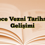 Hece Vezni Tarihsel Gelişimi