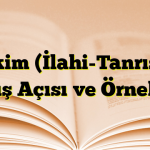 Hâkim (İlahi-Tanrısal) Bakış Açısı ve Örnekleri