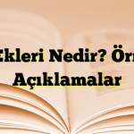 Hâl Ekleri Nedir? Örnekli Açıklamalar