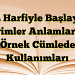 K L Harfiyle Başlayan Deyimler Anlamları ve Örnek Cümlede Kullanımları