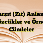 Karşıt (Zıt) Anlamlı Sözcükler ve Örnek Cümleler