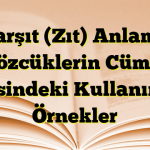 Karşıt (Zıt) Anlamlı Sözcüklerin Cümle İçerisindeki Kullanımına Örnekler