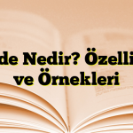 Kaside Nedir? Özellikleri ve Örnekleri