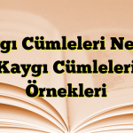 Kaygı Cümleleri Nedir? Kaygı Cümleleri Örnekleri