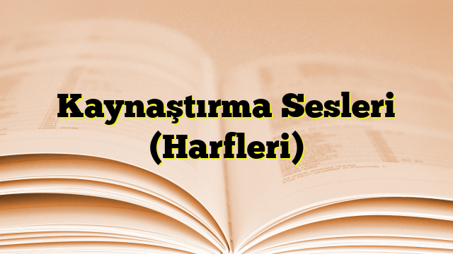 Kaynaştırma Sesleri (Harfleri)