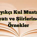 Kayıkçı Kul Mustafa Hayatı ve Şiirlerinden Örnekler