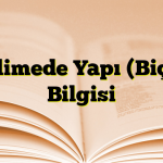 Kelimede Yapı (Biçim Bilgisi