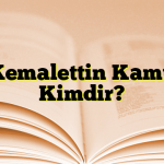 Kemalettin Kamu Kimdir?