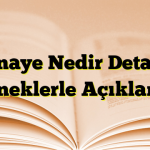 Kinaye Nedir Detaylı Örneklerle Açıklama