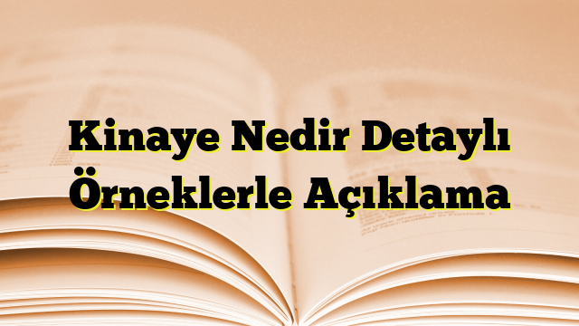 Kinaye Nedir Detaylı Örneklerle Açıklama