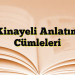 Kinayeli Anlatım Cümleleri