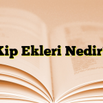 Kip Ekleri Nedir?