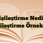 Kişileştirme Nedir? Kişileştirme Örnekleri