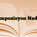 Kompozisyon Nedir?