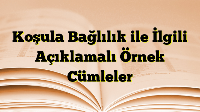 Koşula Bağlılık ile İlgili Açıklamalı Örnek Cümleler