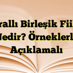 Kurallı Birleşik Fiiller Nedir? Örneklerle Açıklamalı