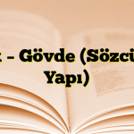 Kök – Gövde (Sözcükte Yapı)