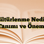 Kültürlenme Nedir? Tanımı ve Önemi