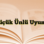 Küçük Ünlü Uyumu