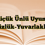 Küçük Ünlü Uyumu (Düzlük-Yuvarlaklık)