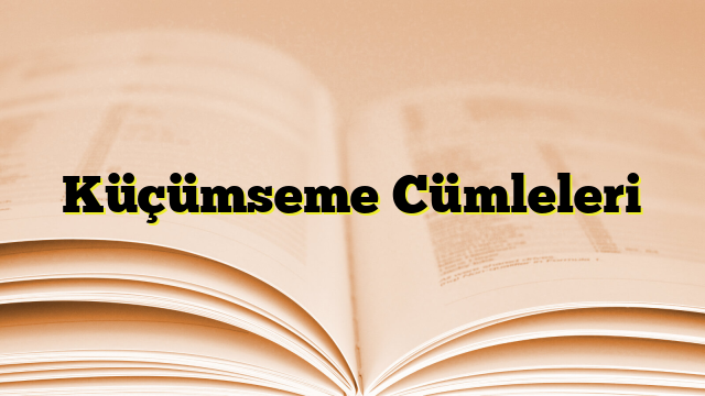 Küçümseme Cümleleri