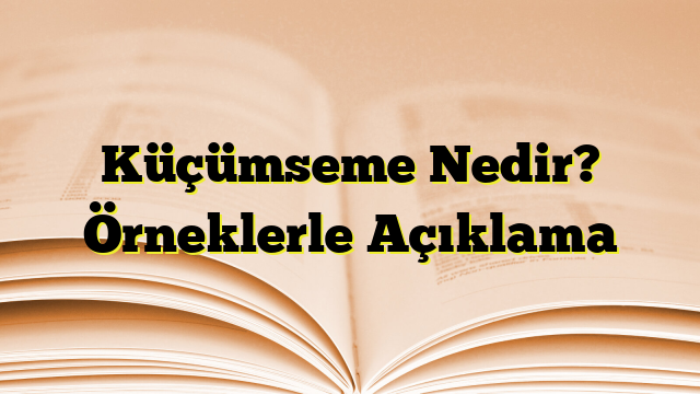 Küçümseme Nedir? Örneklerle Açıklama