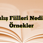 Kılış Fiilleri Nedir? Örnekler