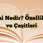 Mani Nedir? Özellikleri ve Çeşitleri