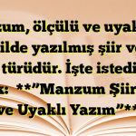 Manzum, ölçülü ve uyaklı bir şekilde yazılmış şiir veya nesir türüdür. İşte istediğiniz başlık:

**”Manzum Şiir: Ölçü ve Uyaklı Yazım”**