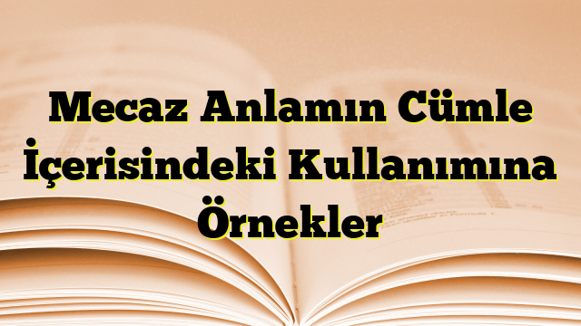 Mecaz Anlamın Cümle İçerisindeki Kullanımına Örnekler