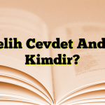 Melih Cevdet Anday Kimdir?