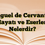 Miguel de Cervantes Hayatı ve Eserleri Nelerdir?