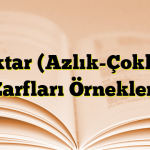 Miktar (Azlık-Çokluk) Zarfları Örnekleri