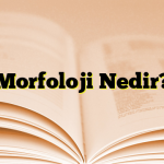 Morfoloji Nedir?