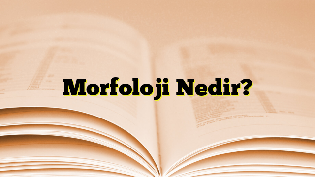 Morfoloji Nedir?