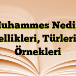 Muhammes Nedir? Özellikleri, Türleri ve Örnekleri