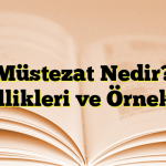 Müstezat Nedir? Özellikleri ve Örnekleri