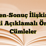 Neden-Sonuç İlişkisi ile İlgili Açıklamalı Örnek Cümleler