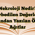 Nekroloji Nedir? Kaybedilen Değerlerin Ardından Yazılan Öznel Ağıtlar