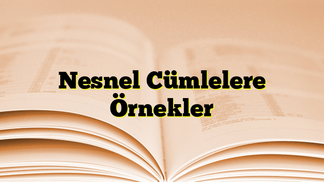 Nesnel Cümlelere Örnekler