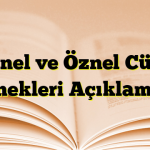 Nesnel ve Öznel Cümle Örnekleri Açıklamalı