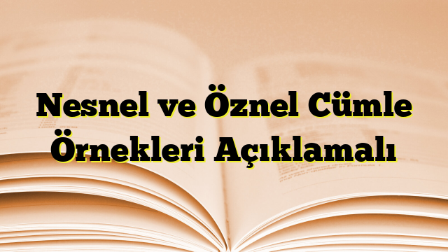 Nesnel ve Öznel Cümle Örnekleri Açıklamalı