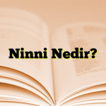 Ninni Nedir?