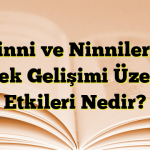 Ninni ve Ninnilerin Bebek Gelişimi Üzerine Etkileri Nedir?